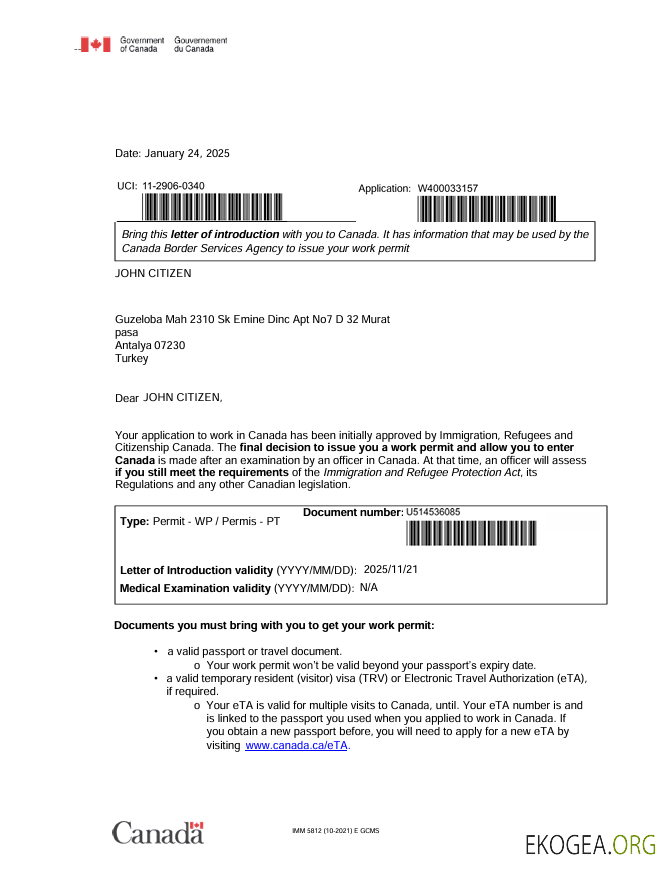 Modèle de visa électronique canadien aux formats Word et PDF
